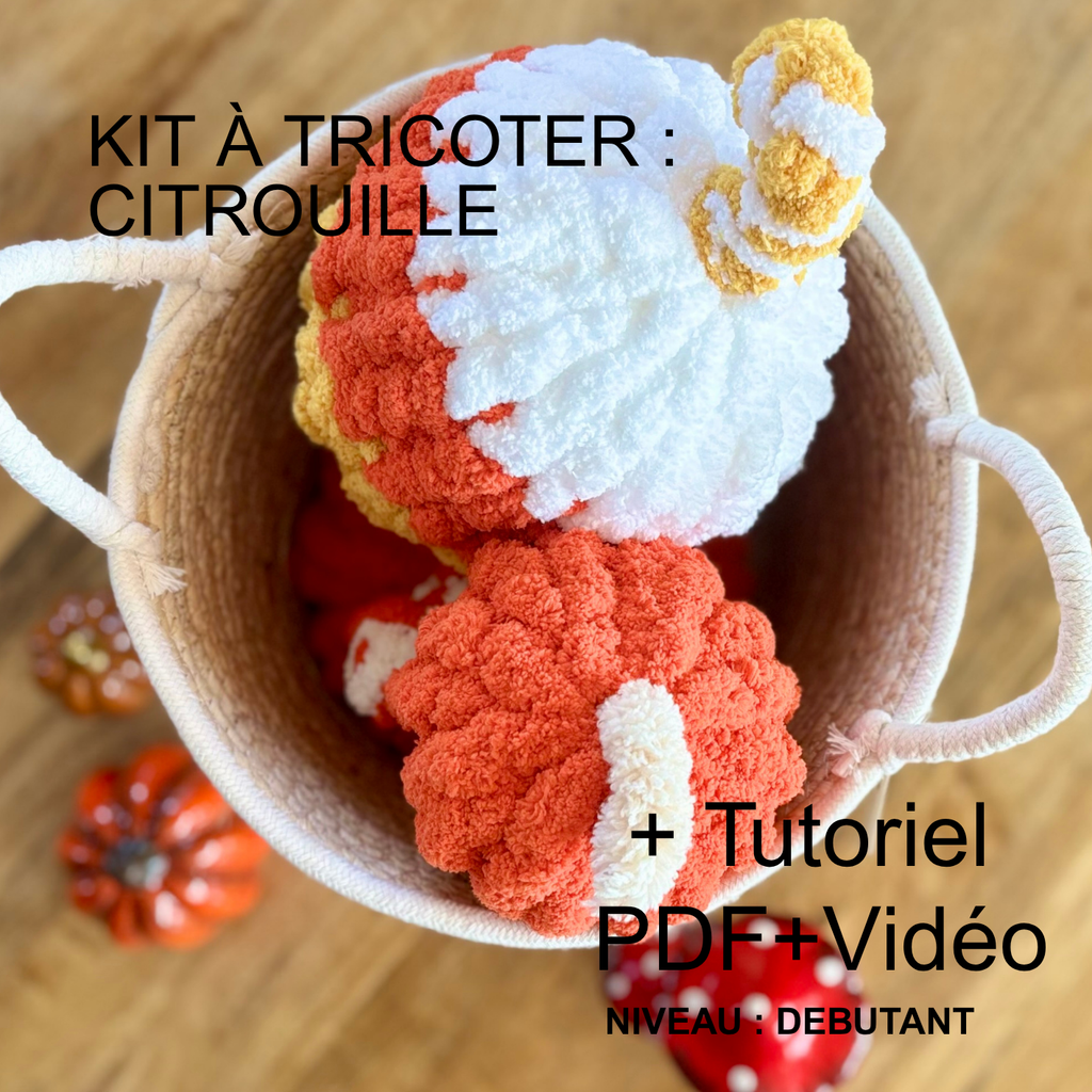 Kit de tricotage sculpté en forme de citrouille multicolore dans un petit panier, destiné au Halloween, avec tutoriel PDF et vidéo (niveau débutant)