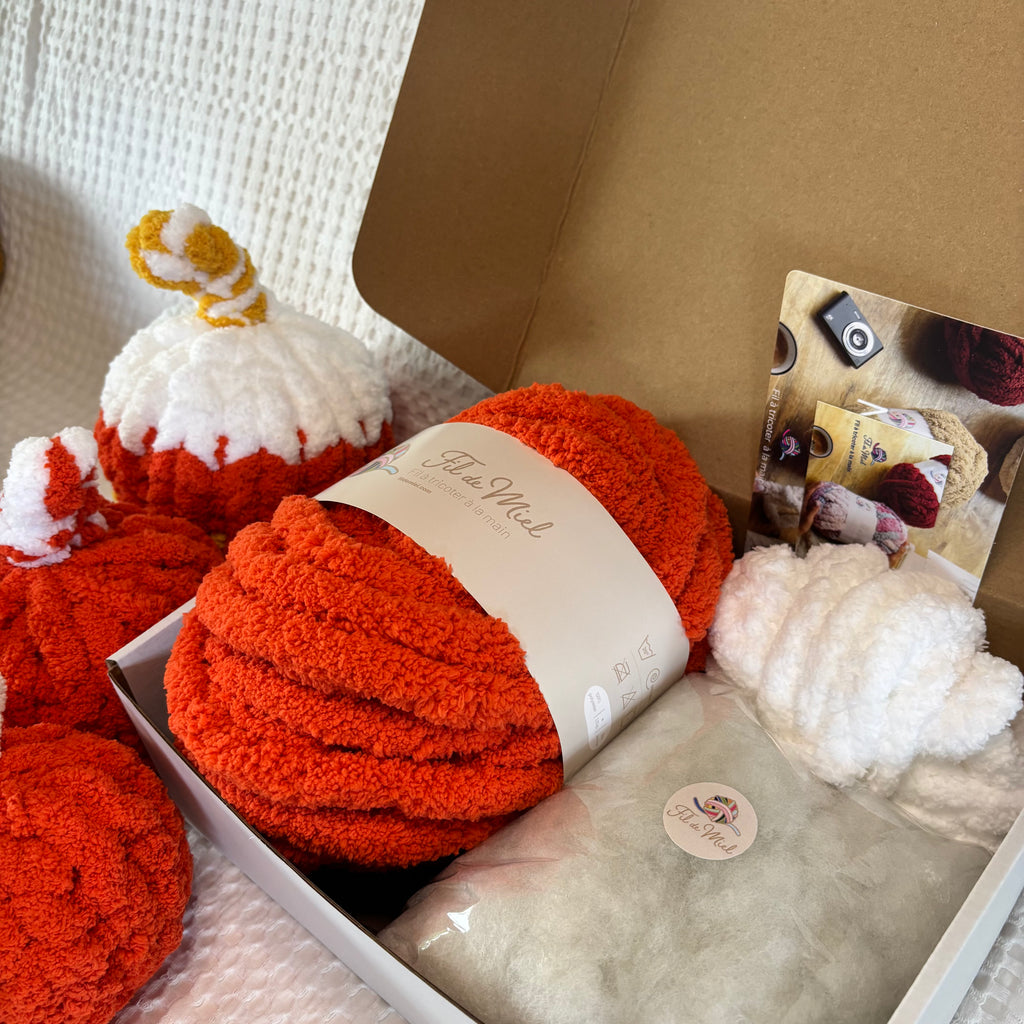 Kit Citrouille Créatif – Spécial Halloween: pelotes orange et blanche en forme de citrouilles, peluche, sachets et goodies dans une boîte cadeau.